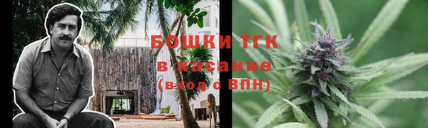 меф Дмитриев