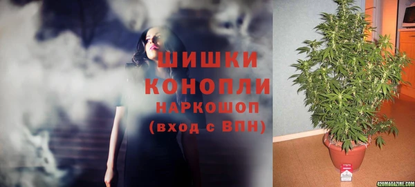 меф Дмитриев
