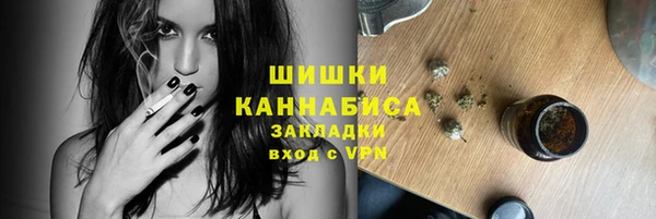 меф Дмитриев