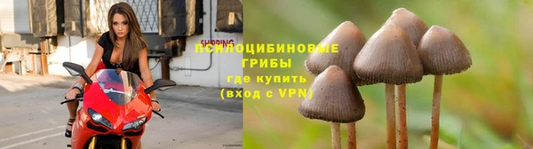 COCAINE Дмитров