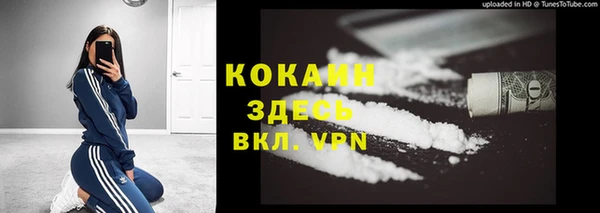 меф Дмитриев